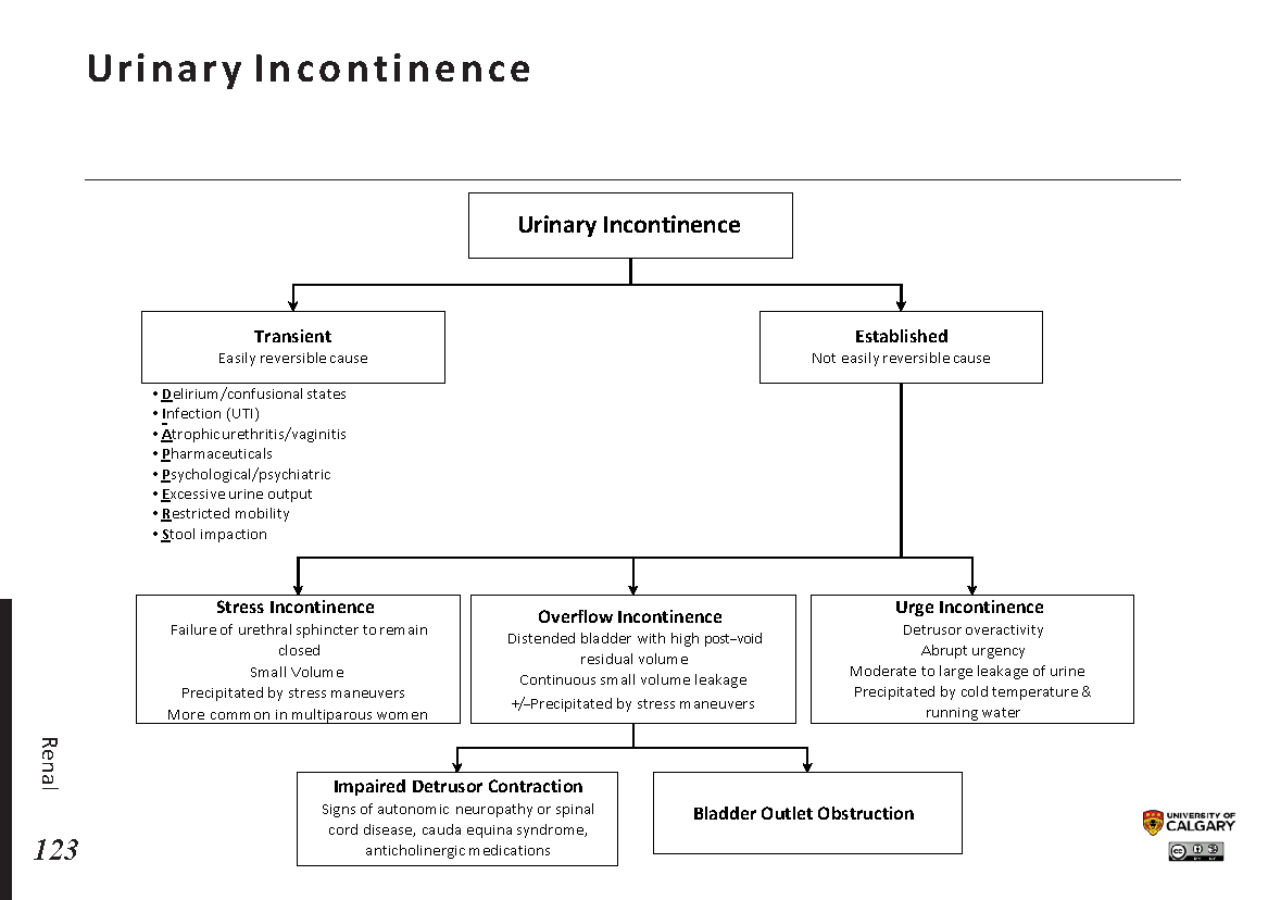 URINARY INCONTINENCE Blackbook Blackbook