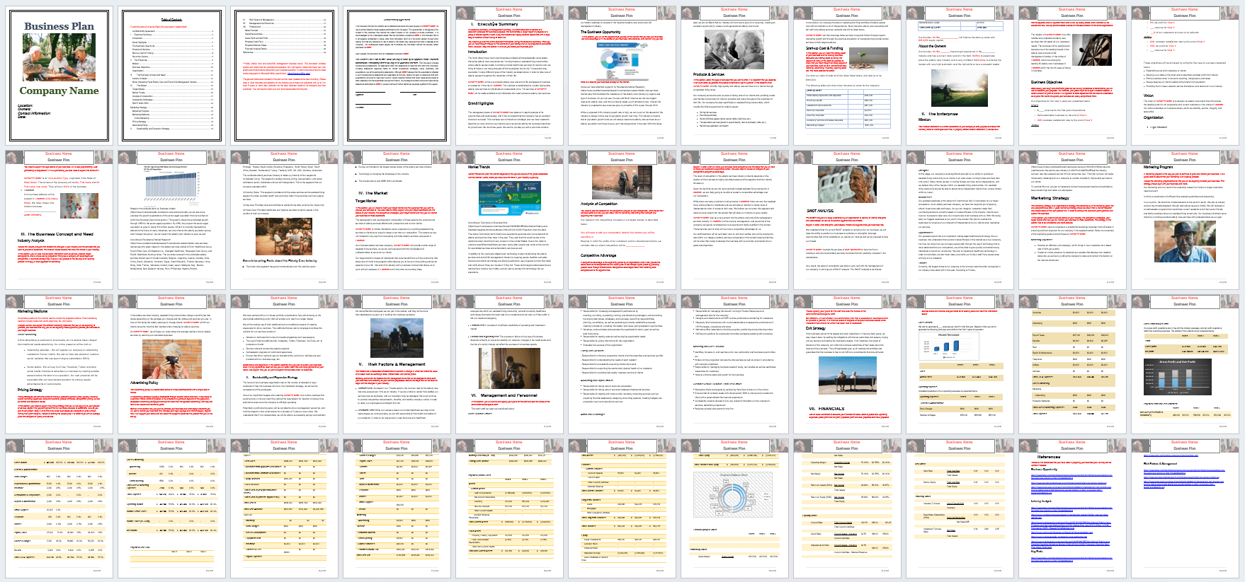 Assisted Living Business Plan Template Black Box Business Plans