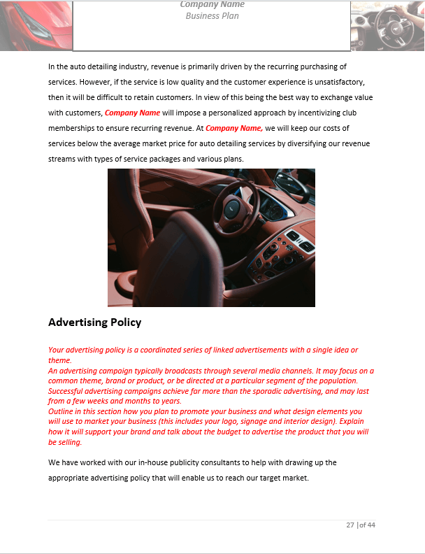 Auto Detailing Business Plan Template Sample Pages Black Box Business