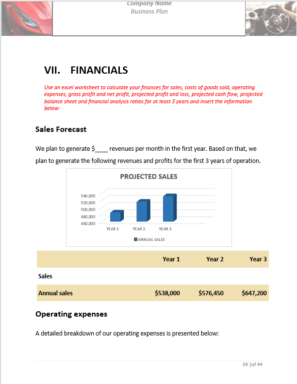 Auto Detailing Business Plan Template Sample Pages Black Box Business