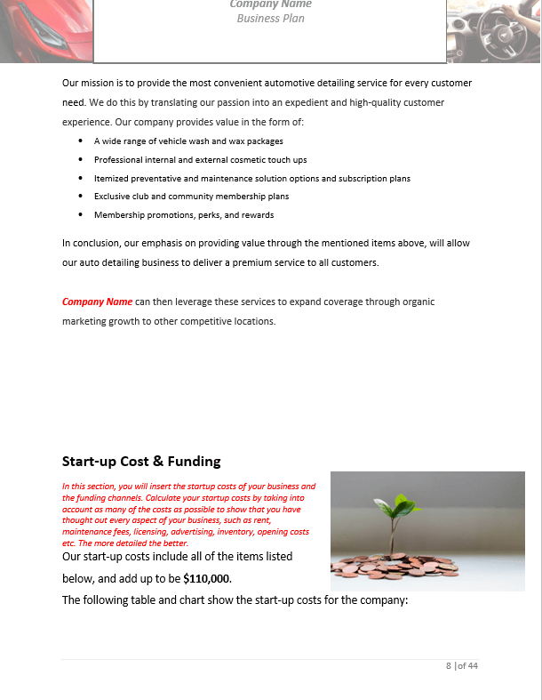Auto Detailing Business Plan Template Sample Pages Black Box Business