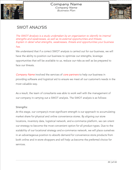 Convenience Store Business Plan Template Sample Pages Black Box