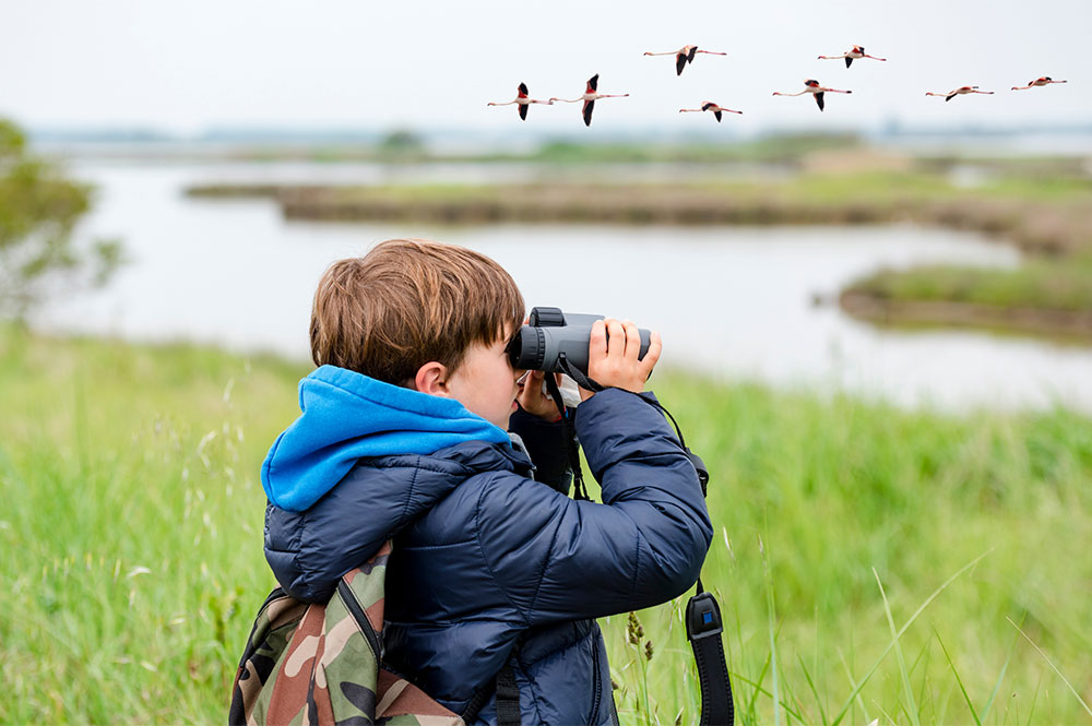 Bird Watching Blackbush Beach Resort