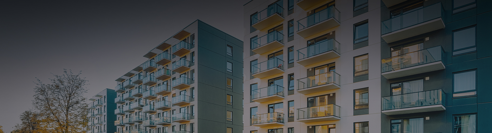 Black Cedar Investments