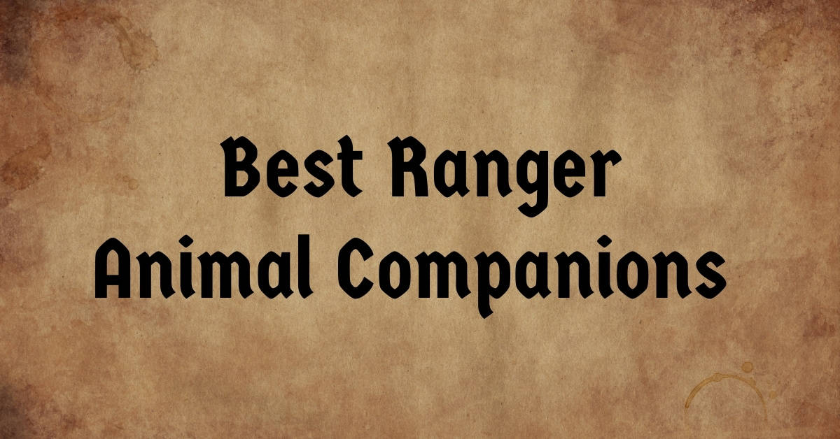Best Ranger Animal Companions in 5e The Complete Guide