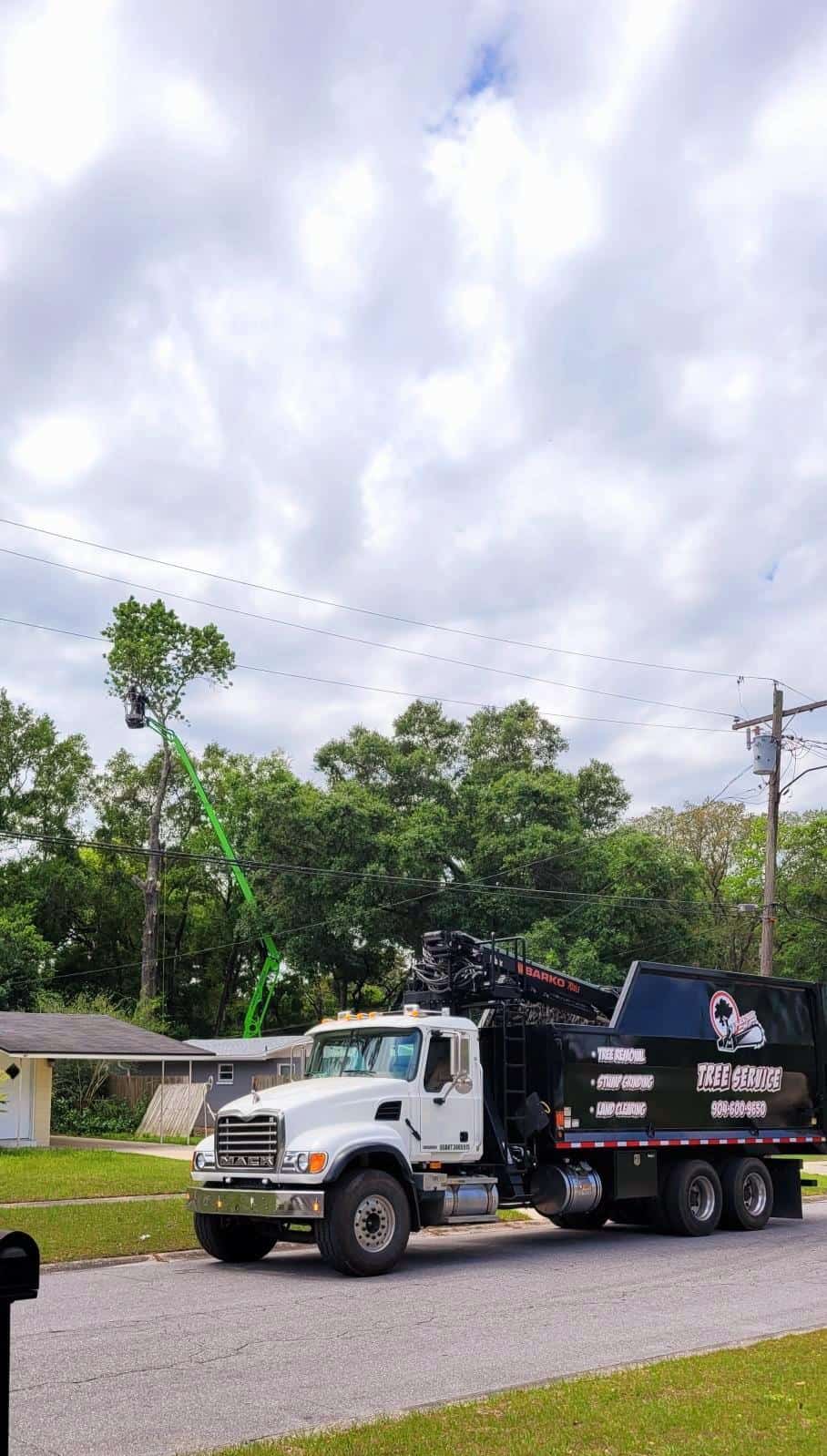 Gallery Black Creek Tree Co. (904) 2032211