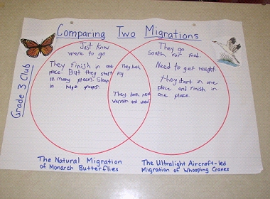The Migration Project: Comparing Migrations
