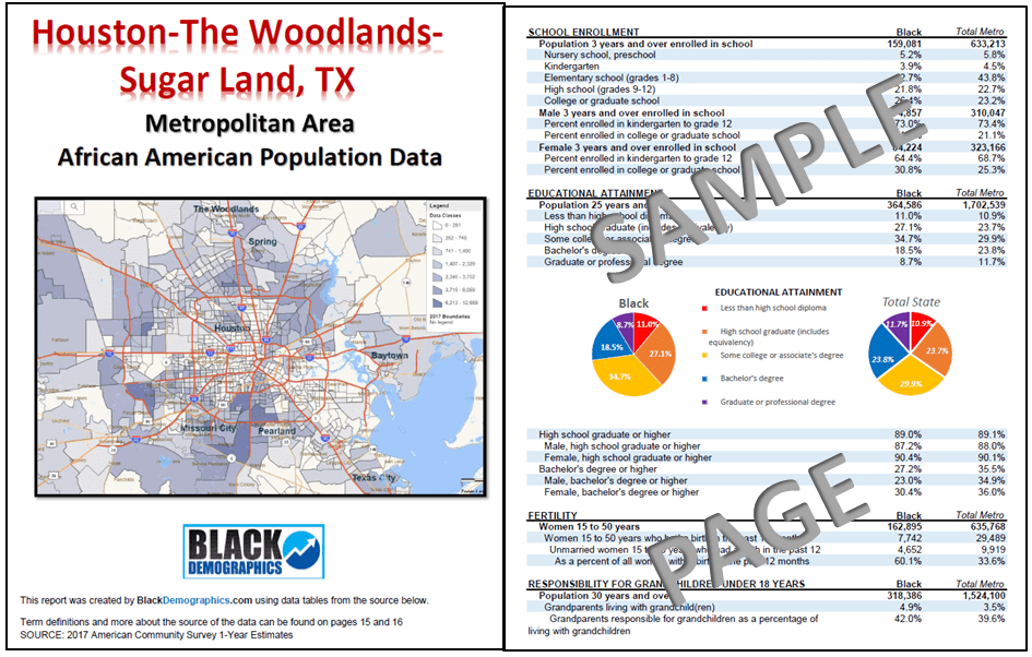 Houston Metro Data Report Download