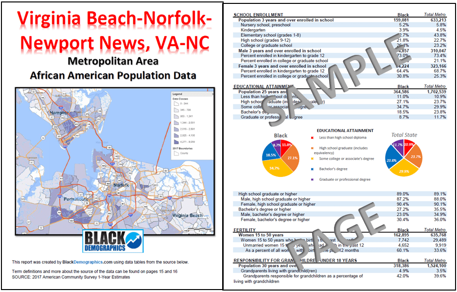 Virginia BeachNorfolkNewport News, VANC Metro Data Report Download