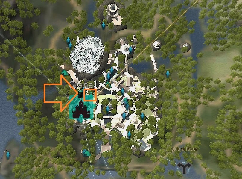 How to find and use the Central Market BDFoundry