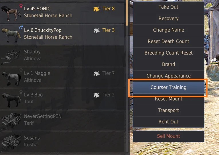 Dream Horses (Tier 9) Guide BDFoundry