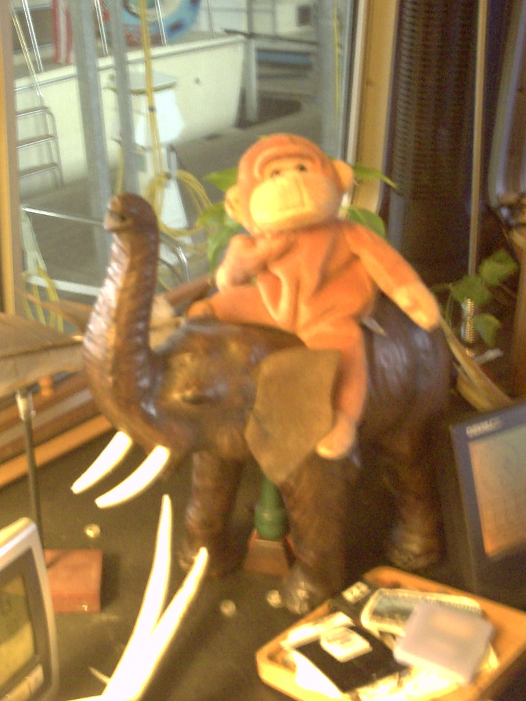 Mobile Again Black Dog Sailor