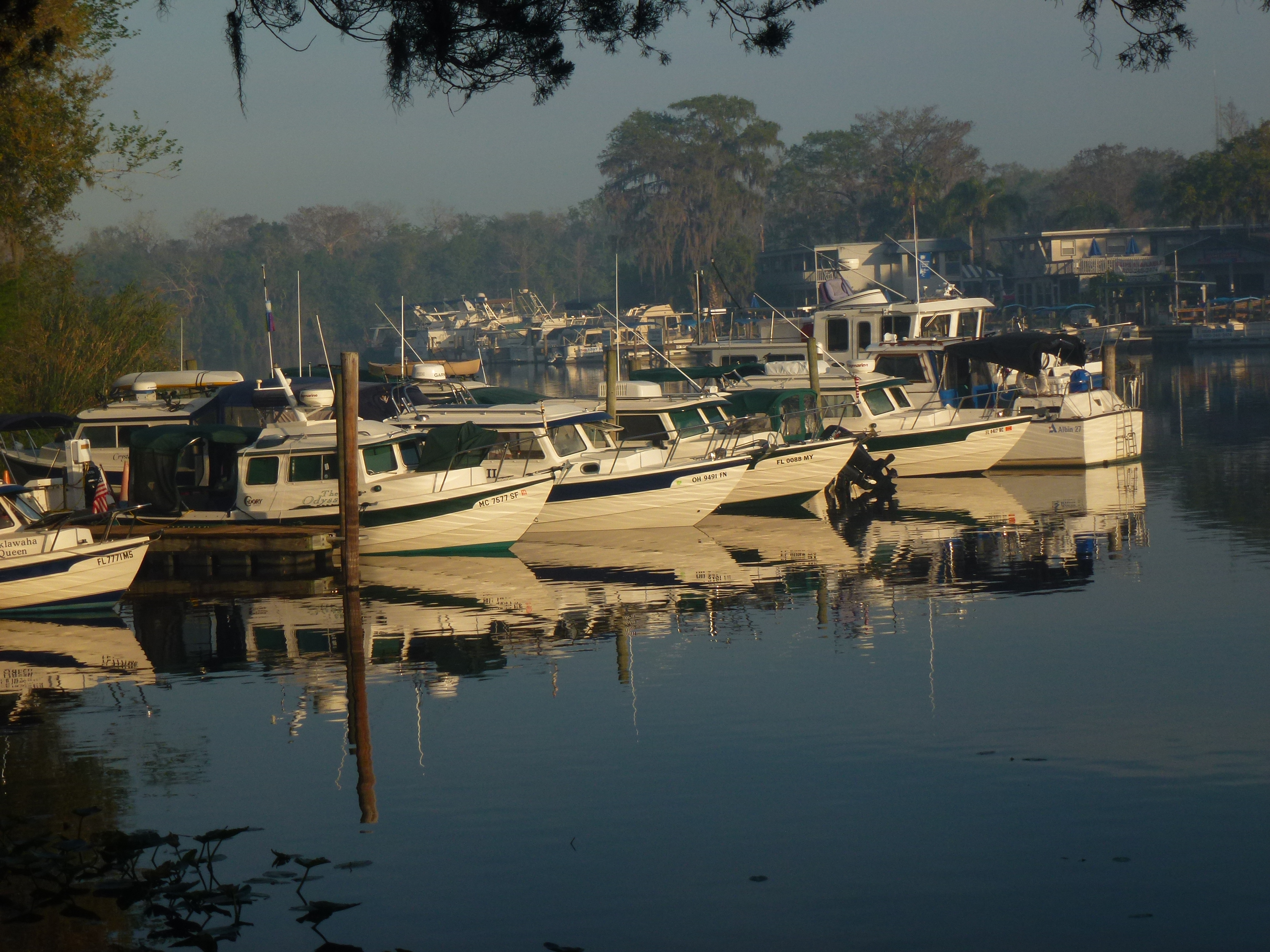 March 2017 Black Dog Sailor