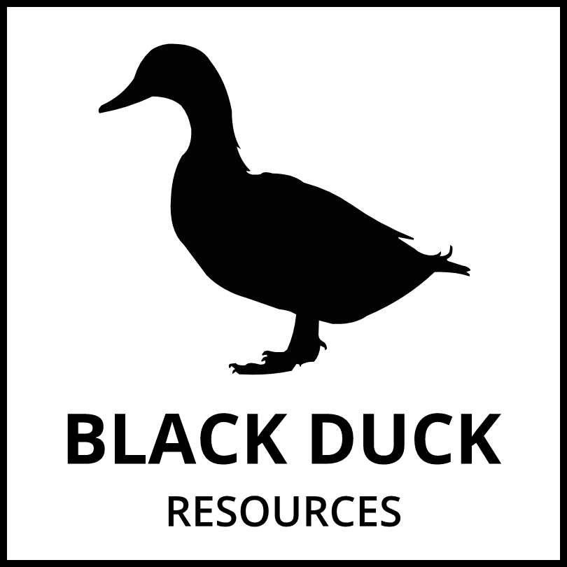 Services Black Duck Resources