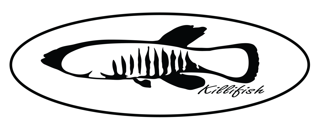 Black Duck Skiffs Shallow Water Performance and Durability.