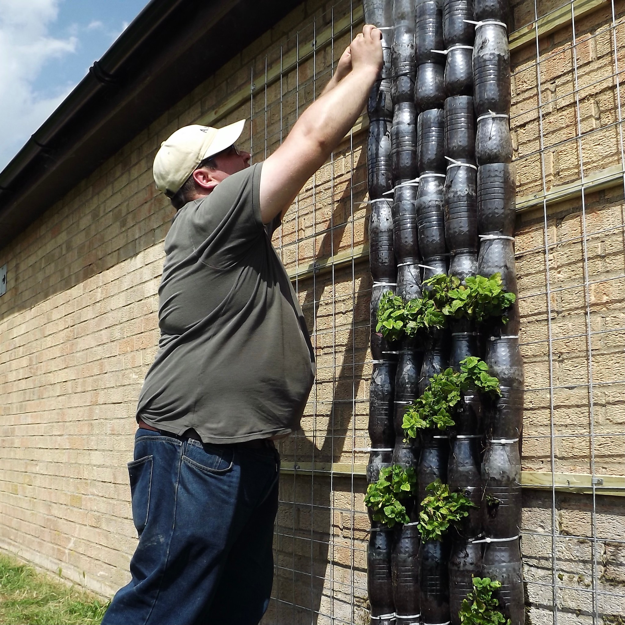 The Vertical Garden, Wisbech