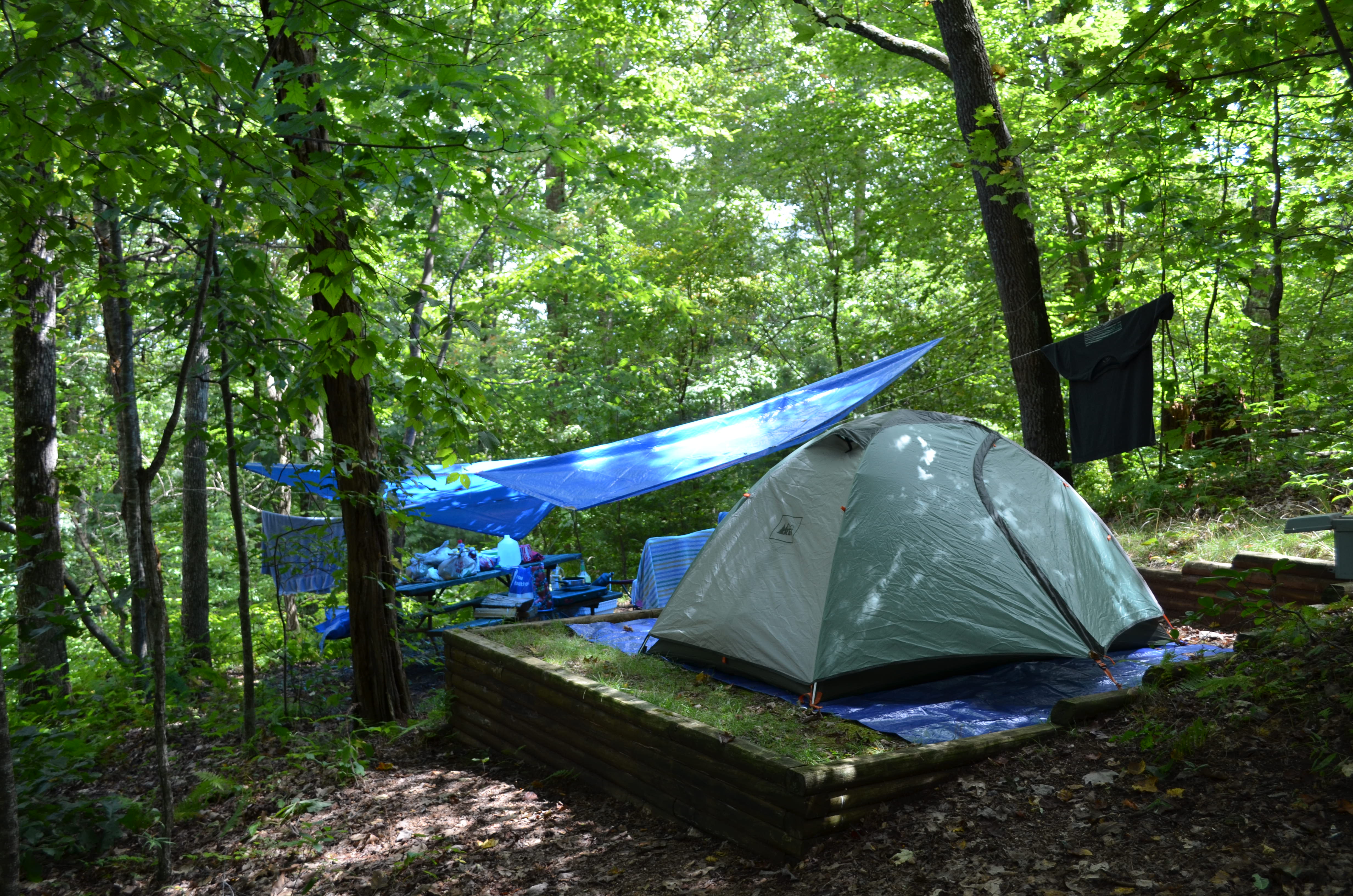 Black Forest Pictures (828)8842267