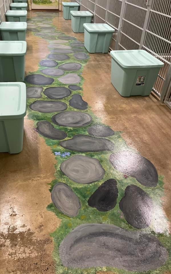 Client Suites Black Fox Pet Resort