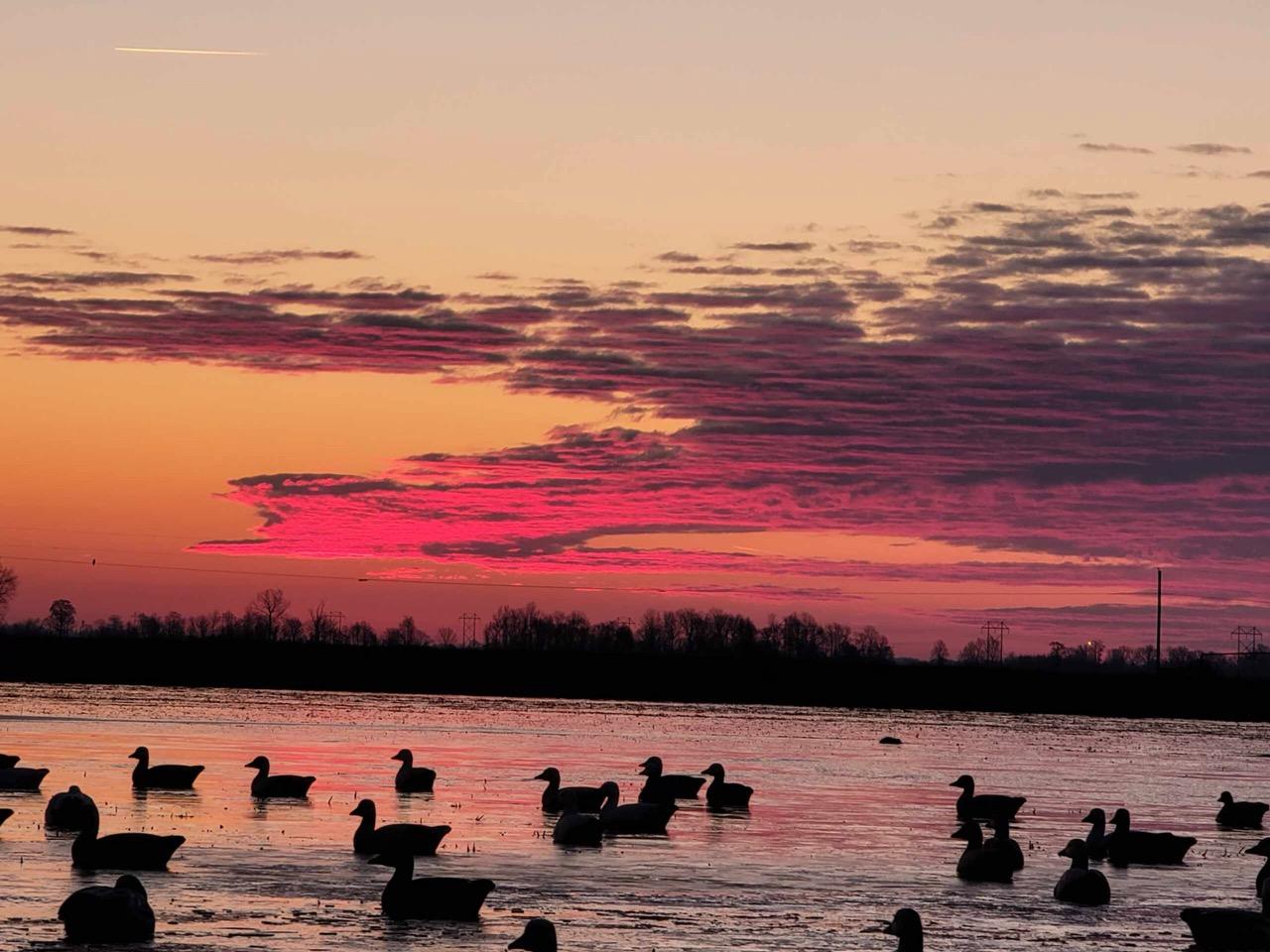 Arkansas Speck Hunts Black Goose Outfitters