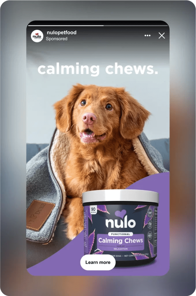 Blackhawk Nulo Pet Foods Case Study Austin, TX
