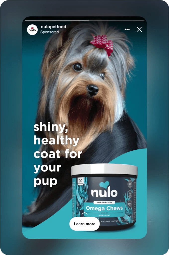 Blackhawk Nulo Pet Foods Case Study Austin, TX