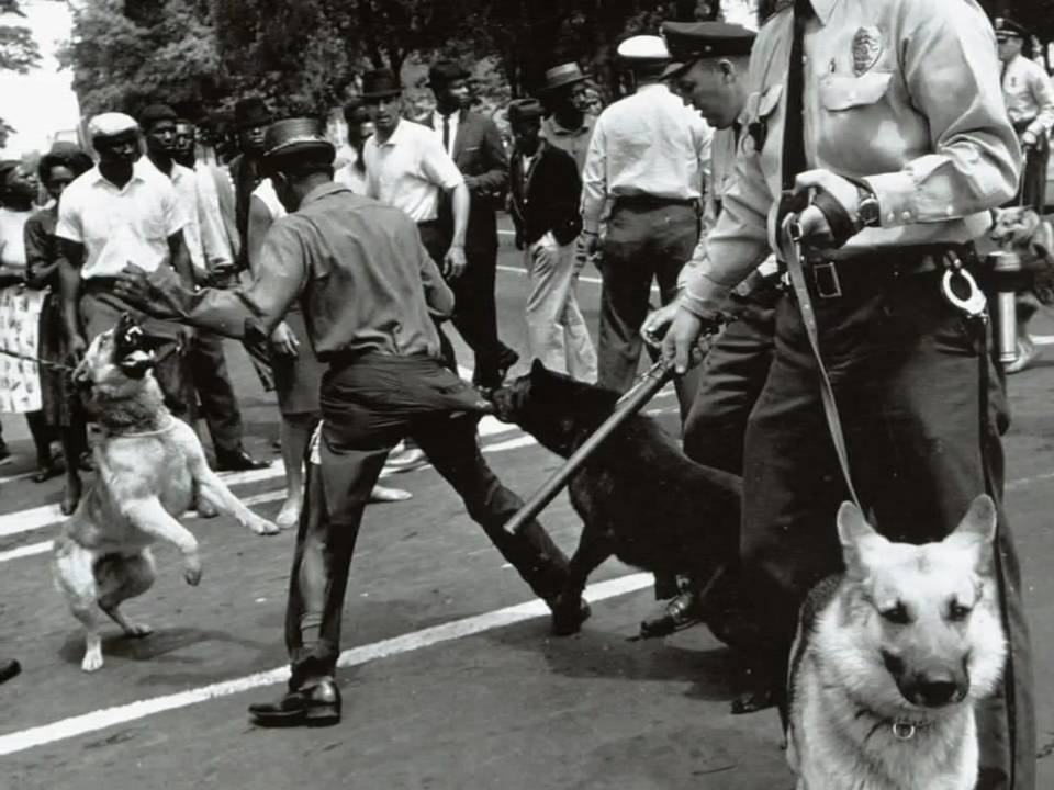 Civil Rights Marches Dogs