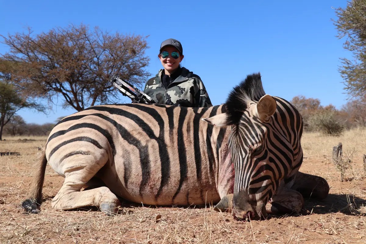 Bow Hunt Zebra in South Africa Trophy Zebra Hunt