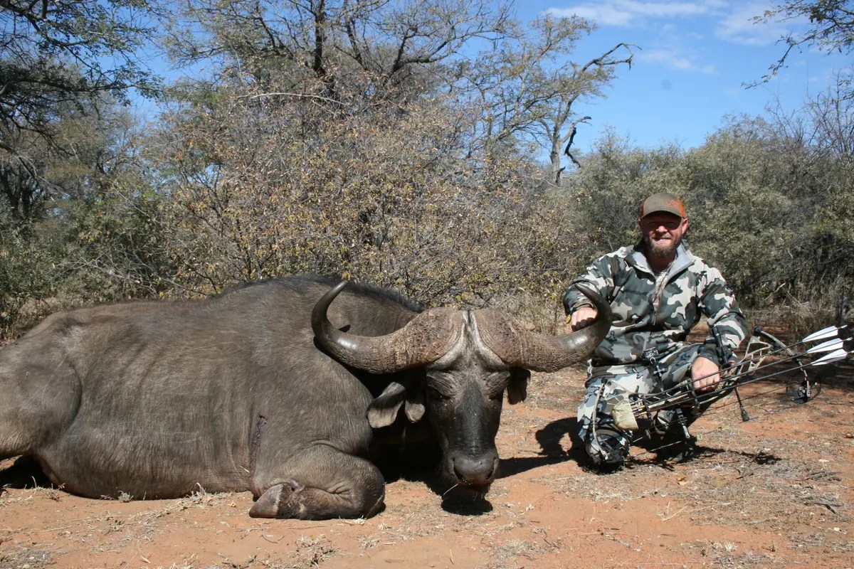 Cape Buffalo Hunting Packages and Prices in South Africa Buffalo Bow Hunt