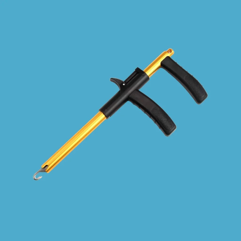 Shark Fishing in Florida Ultimate Guide for Anglers