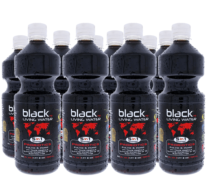 Homepage 6 Video blank header