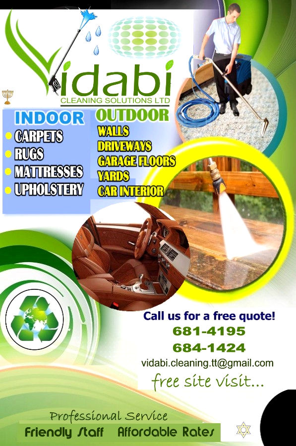 VIDABI CLEANING SOLUTIONS LIMITED Black Business Ideas