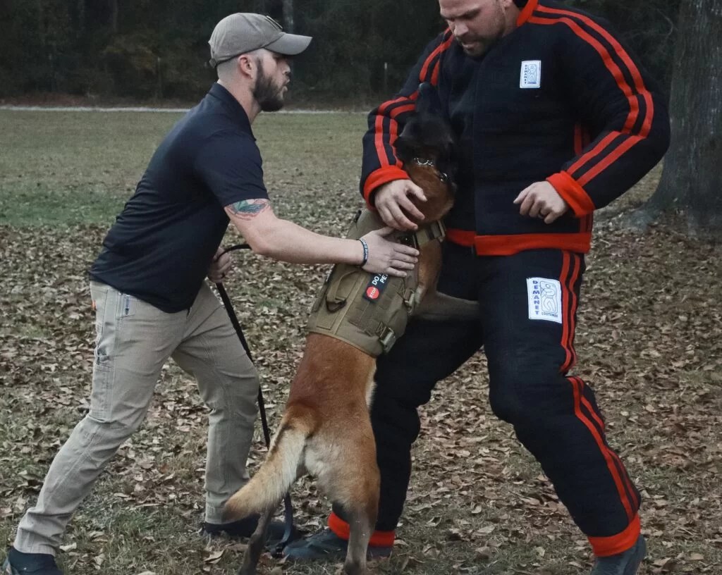 Military & Law Enforcement K9 Training Programs BlackPaw K9 Solution