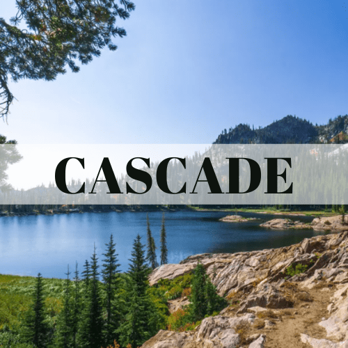 Black Pine Real Estate Boise Premier