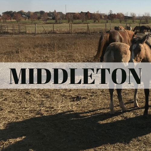 Black Pine Real Estate Boise Premier