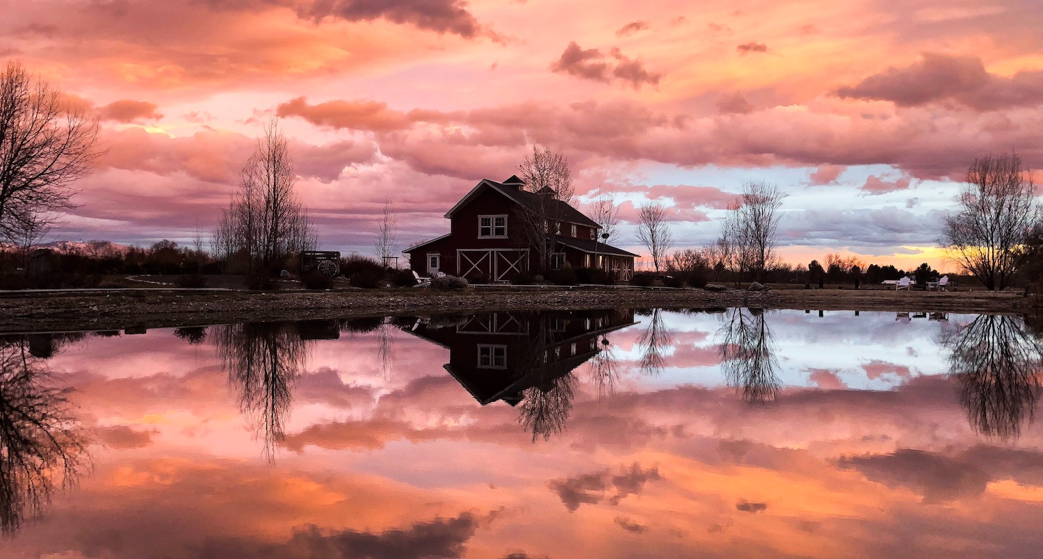 Eagle Black Pine Real Estate