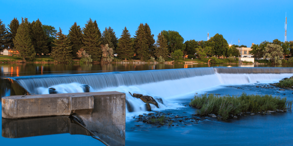 Garden City Black Pine Real Estate