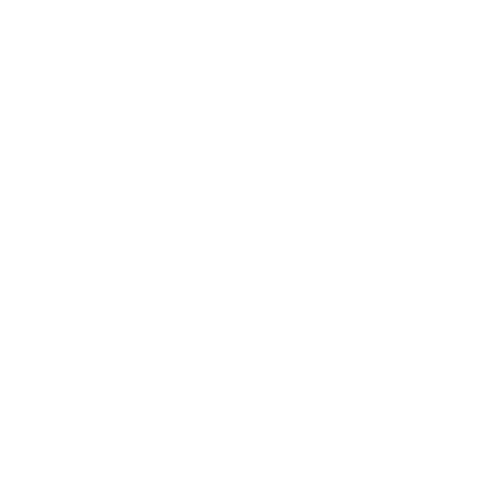 Phil Lynott Black Plaque Project
