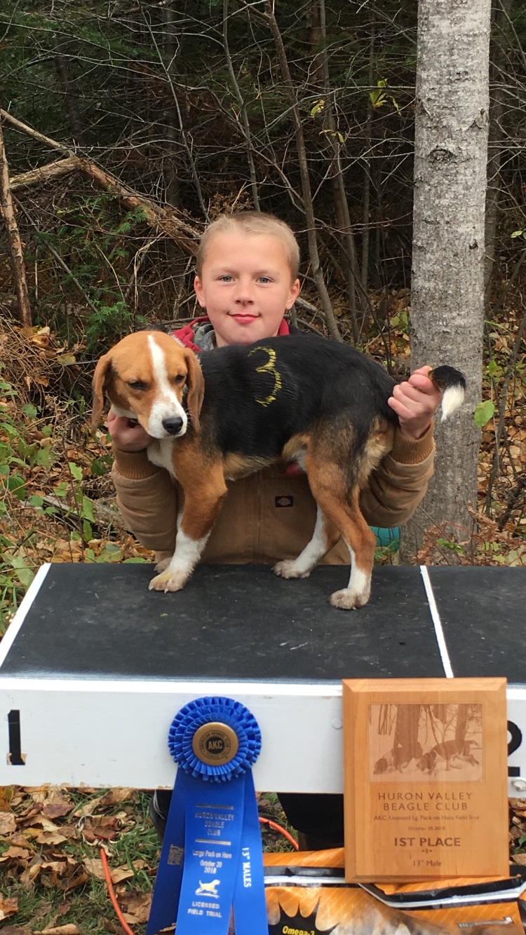 Black Point Gun Dogs Beagles "Big Creek Nobarz" On November 30, 2014 our great female "Big