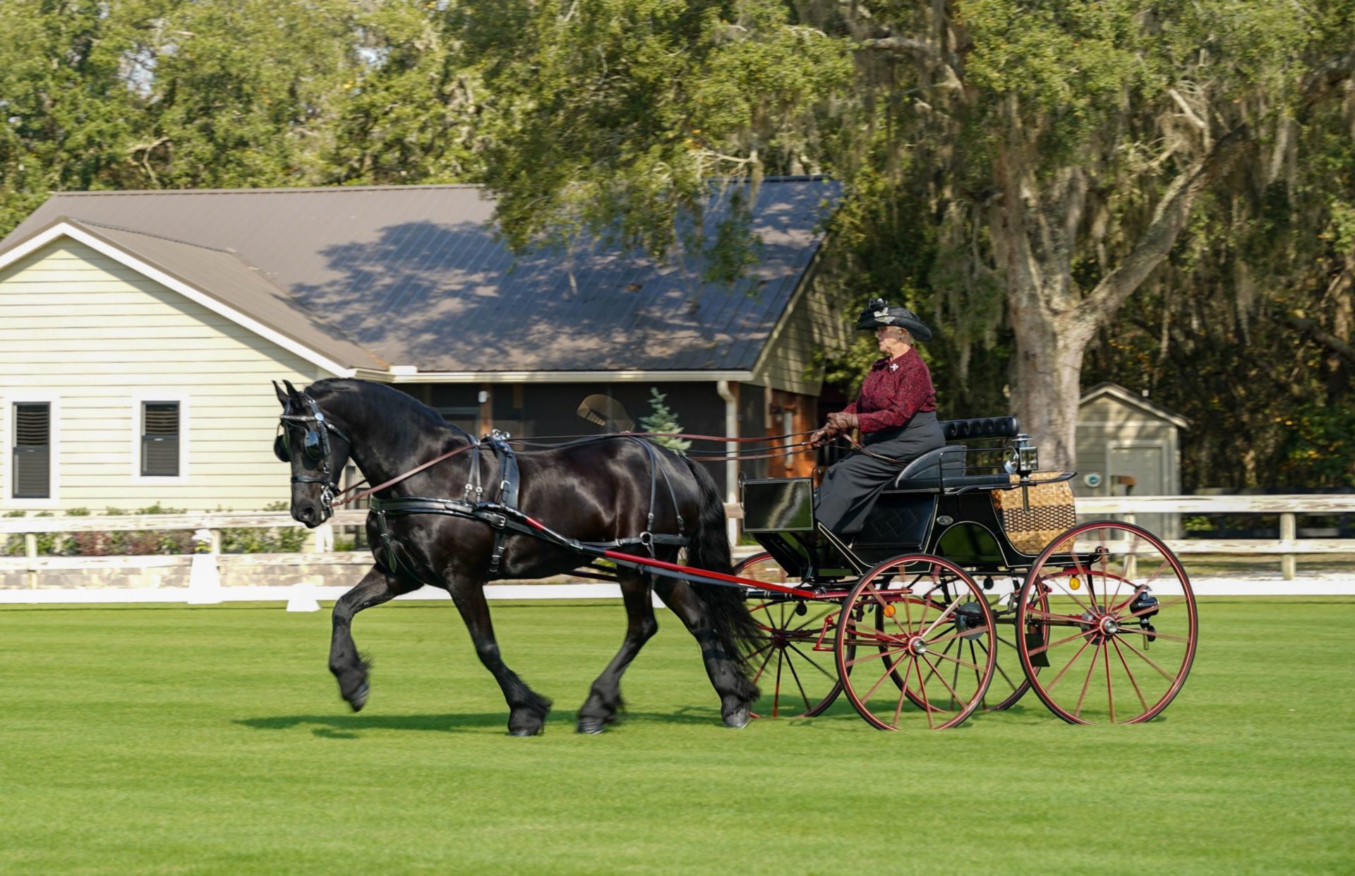 What is Combined Driving? Black Prong
