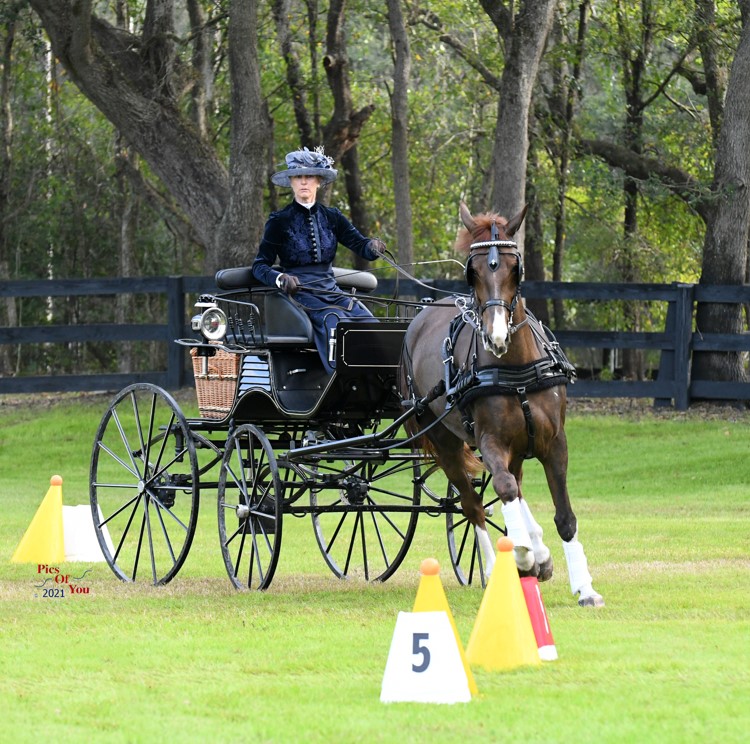 What is Combined Driving? Black Prong