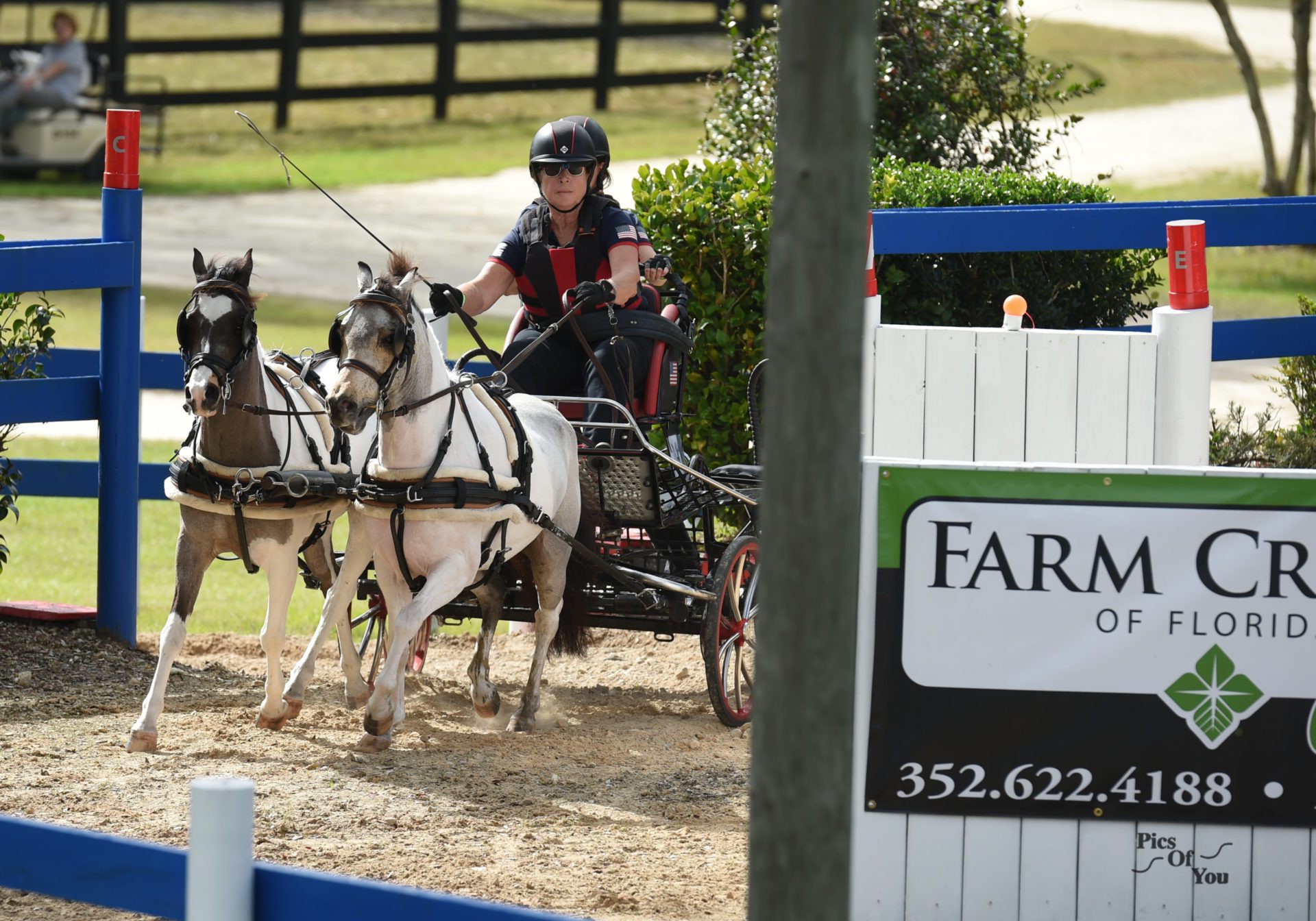What is Combined Driving? Black Prong