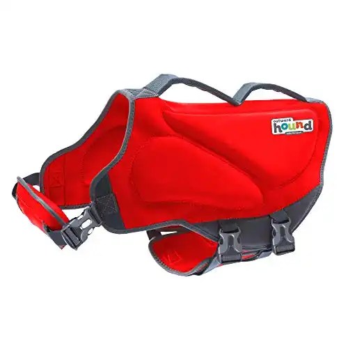 Best Life Jacket For Pugs And 5 Others On The Market
