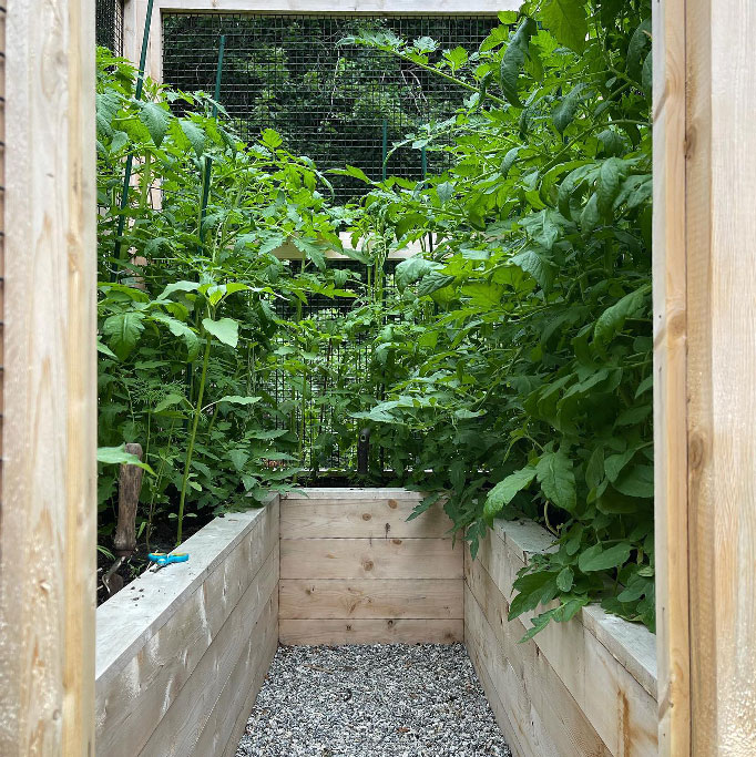 Vegetable Gardens and Composting Raised Gardens and Planter Boxes