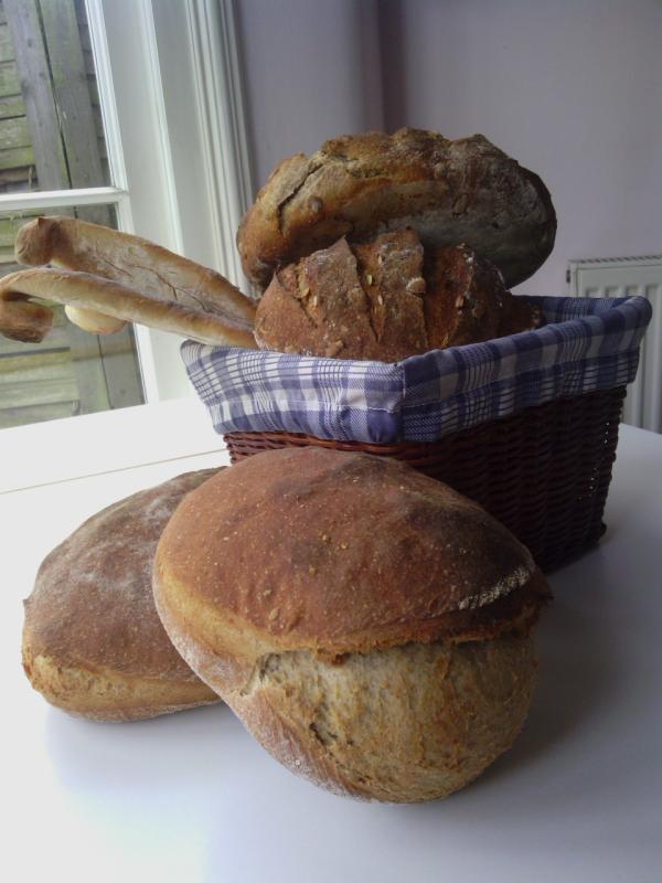 Open Source Bread 1 Sourdough Starter black sea monster