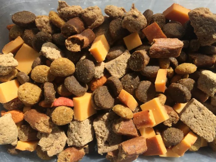 How To Make Homemade High Value Dog Treats 2023