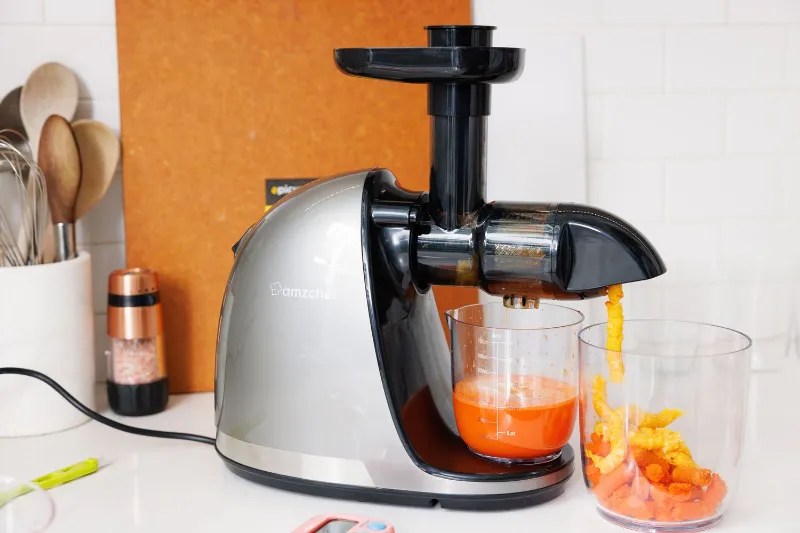 Top 5+ Best Masticating Juicer Reviews & Comparison 2023