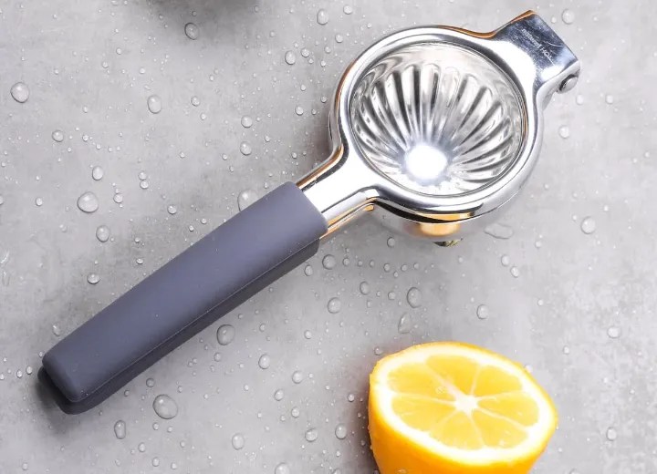 Top 10 Stainless Steel Citrus Juicers Reviews 2024