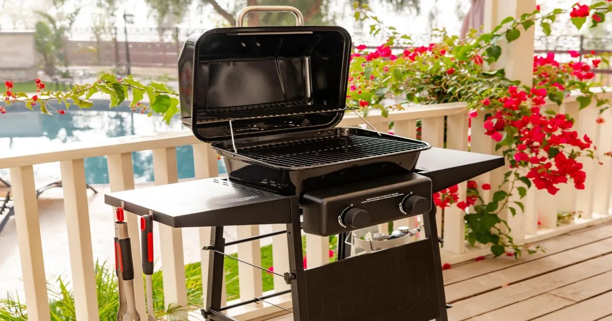 Top 10 Best 2 Burner Gas Grill Reviews & Comparison 2023