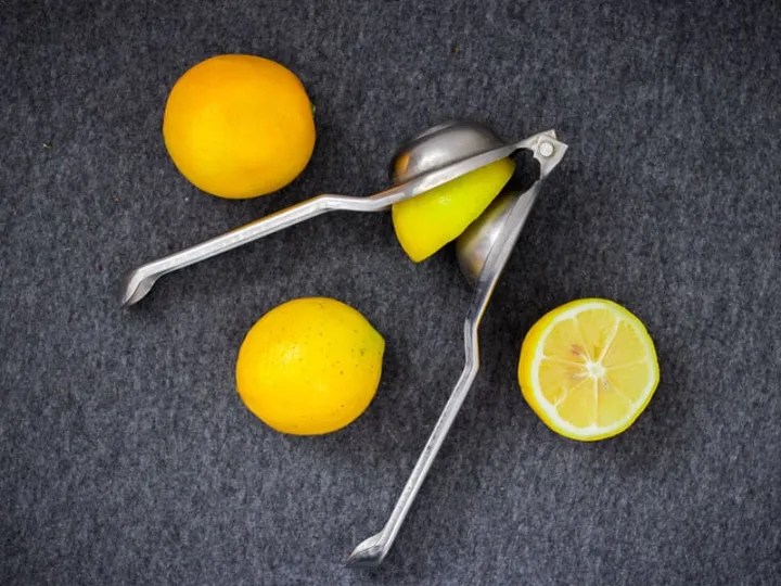 Top 10 Stainless Steel Citrus Juicers Reviews 2024