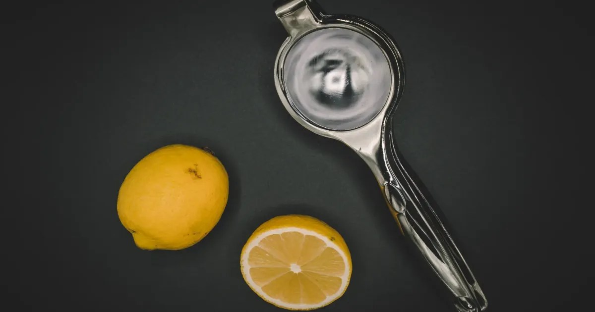 Top 10 Stainless Steel Citrus Juicers Reviews 2024